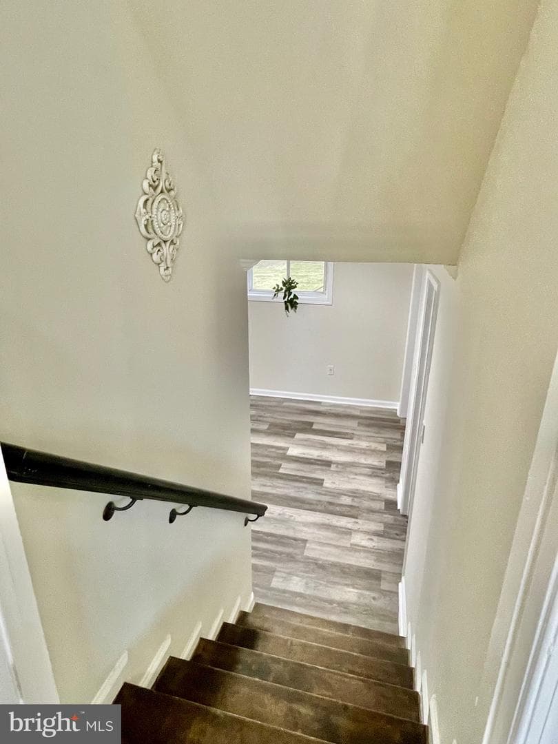 4503 Renn Street photo 24