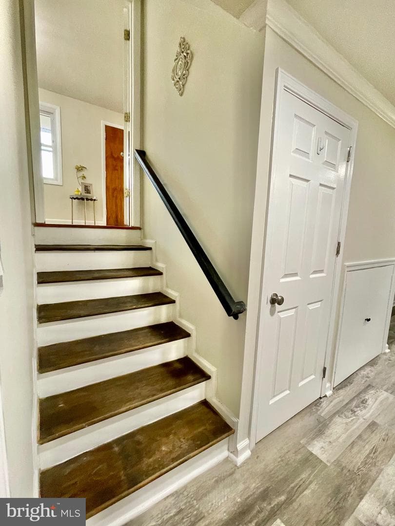 4503 Renn Street photo 25