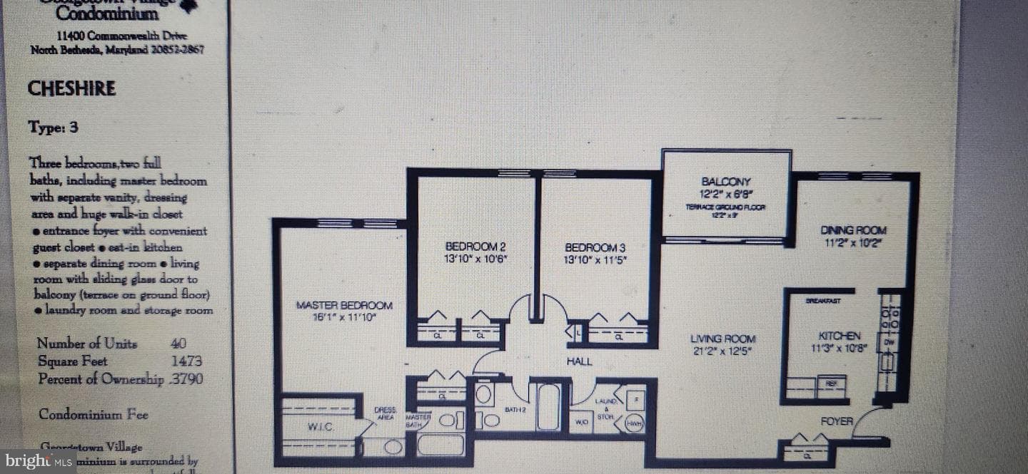 5809 Edson Lane #t3 photo 20