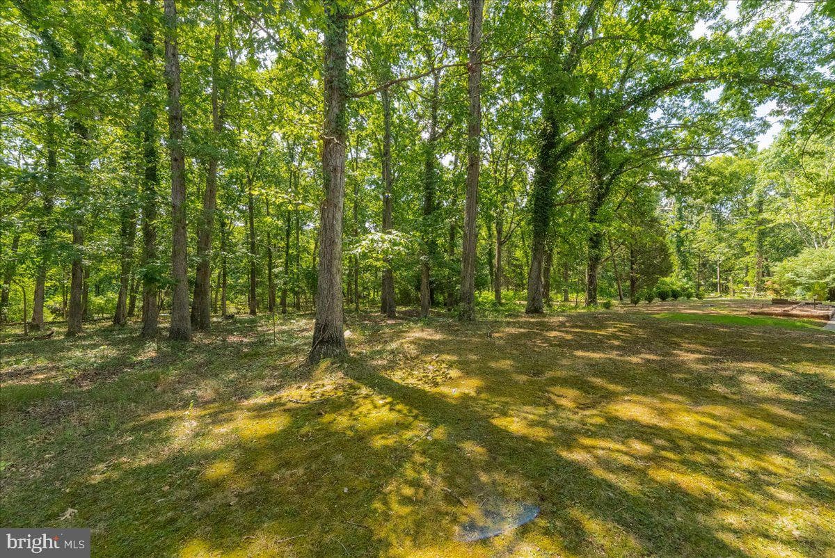 12720 Piney Meetinghouse Road photo 27