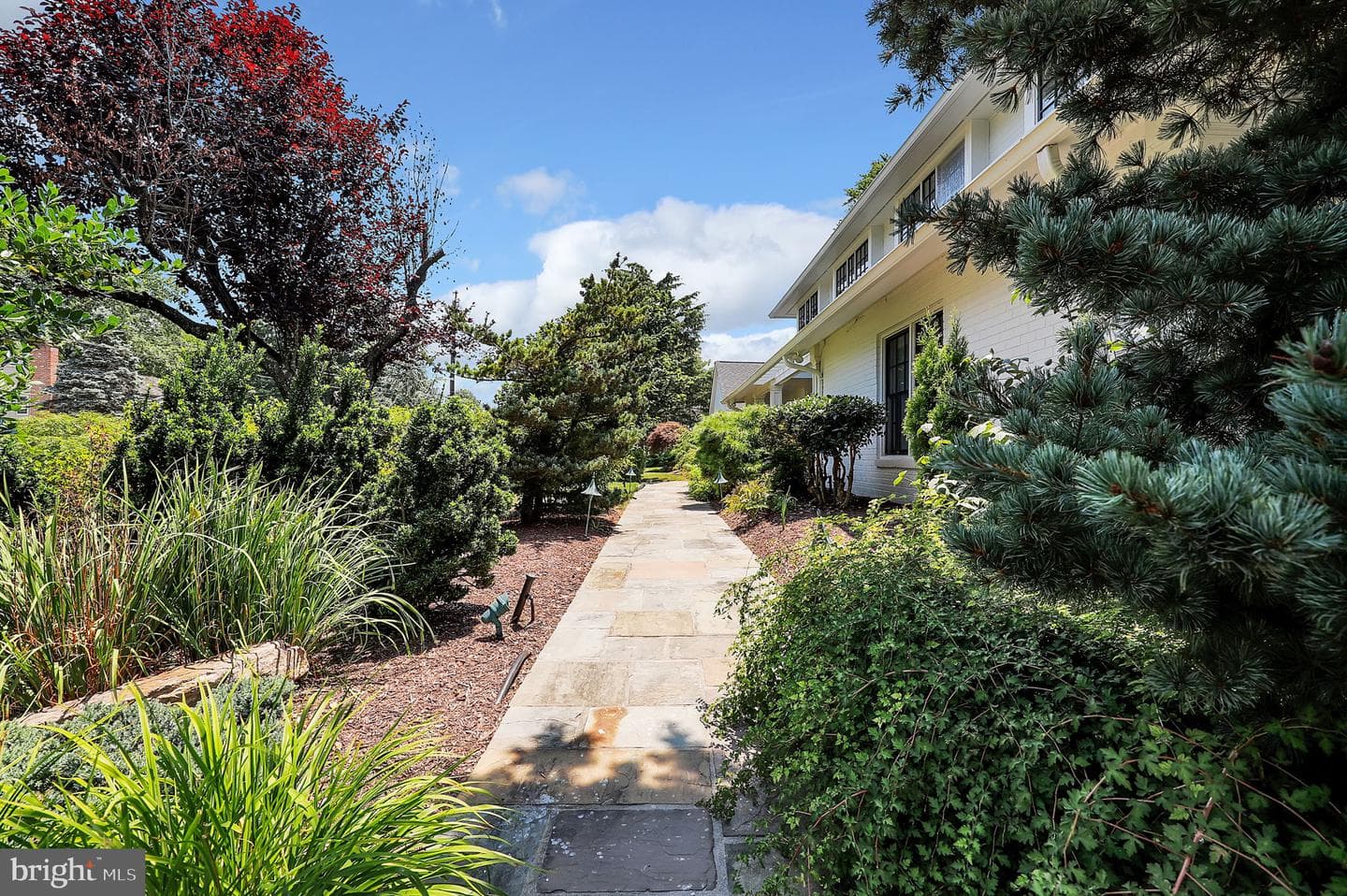 11208 Stephalee Lane photo 4