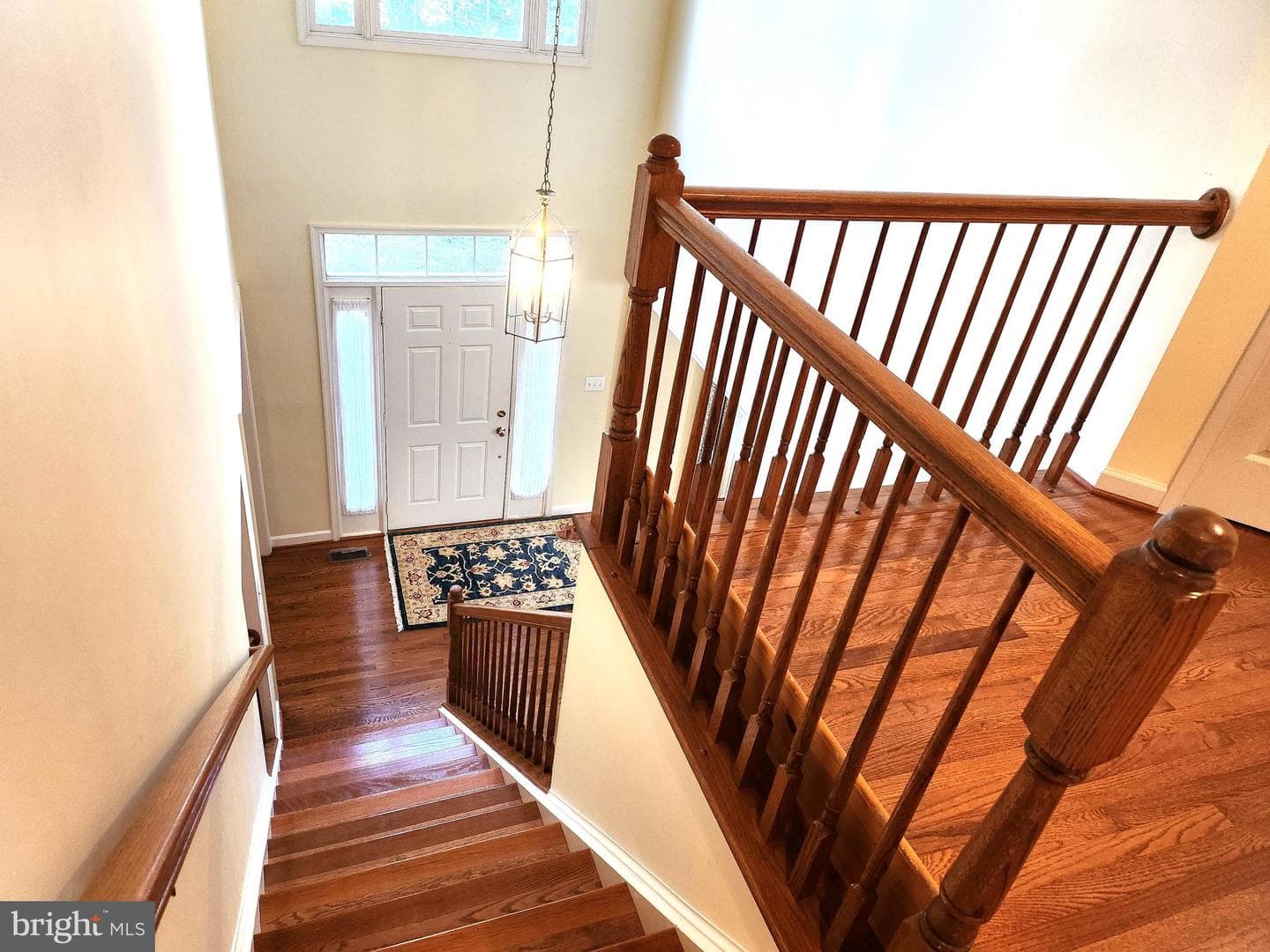 15004 Damson Terrace photo 4