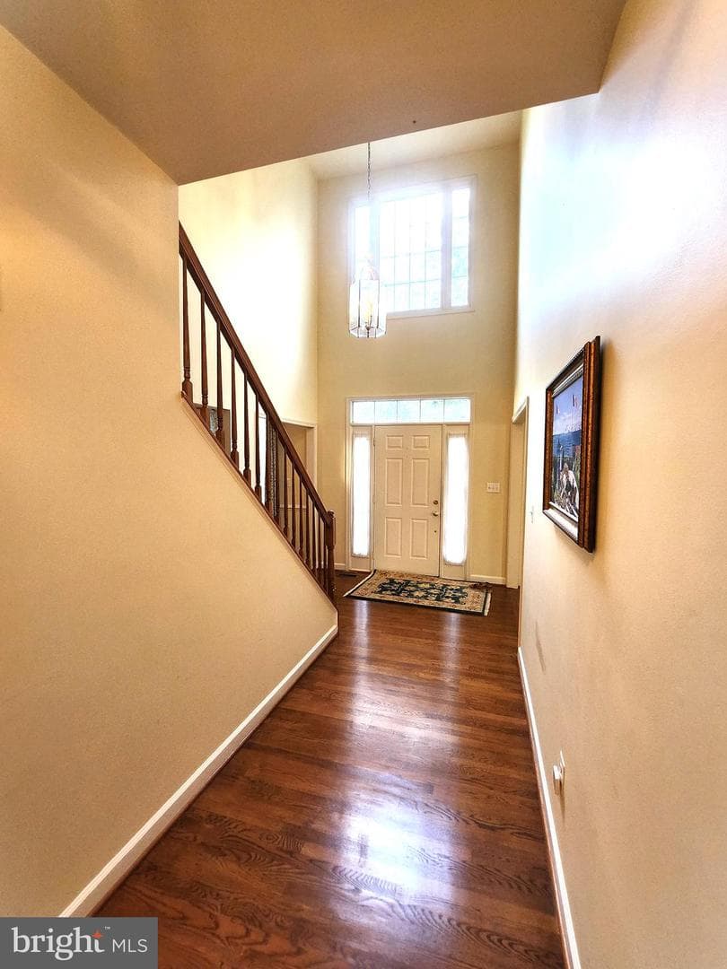 15004 Damson Terrace photo 5