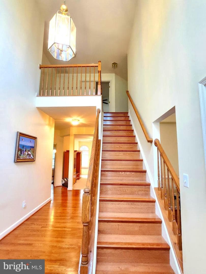 15004 Damson Terrace photo 6