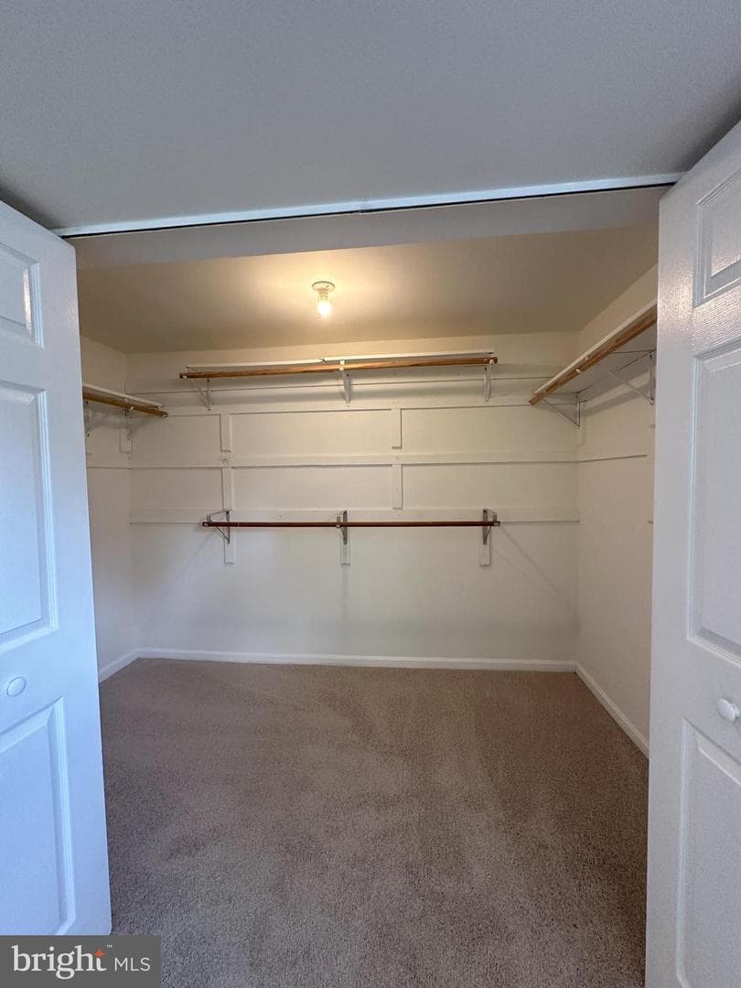 13412 Brackley Terrace photo 24