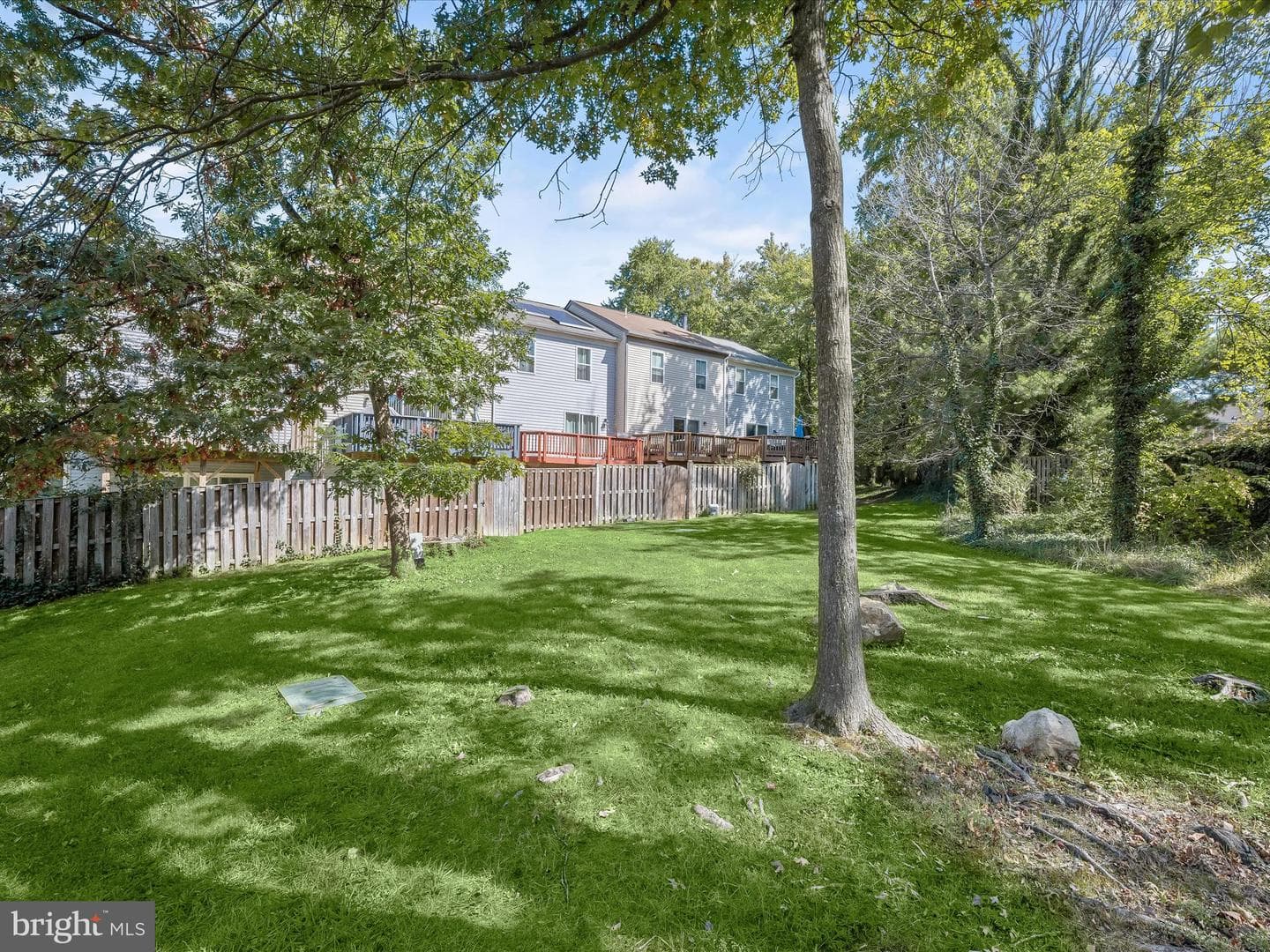 3524 Softwood Terrace photo 38