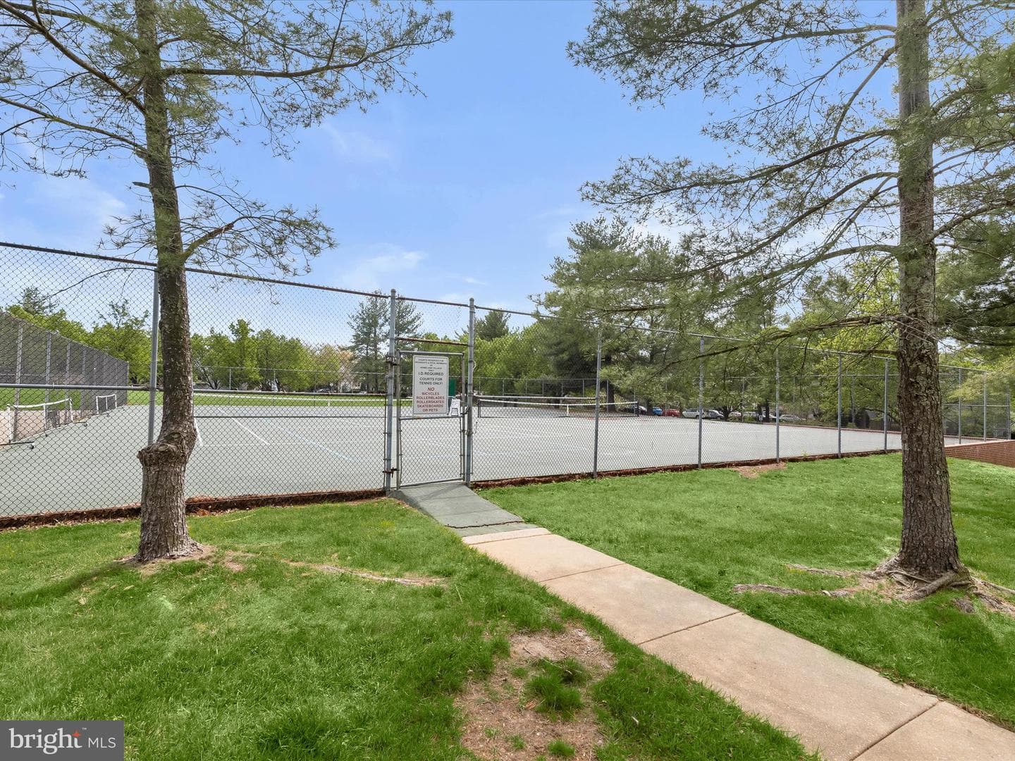 3524 Softwood Terrace photo 42