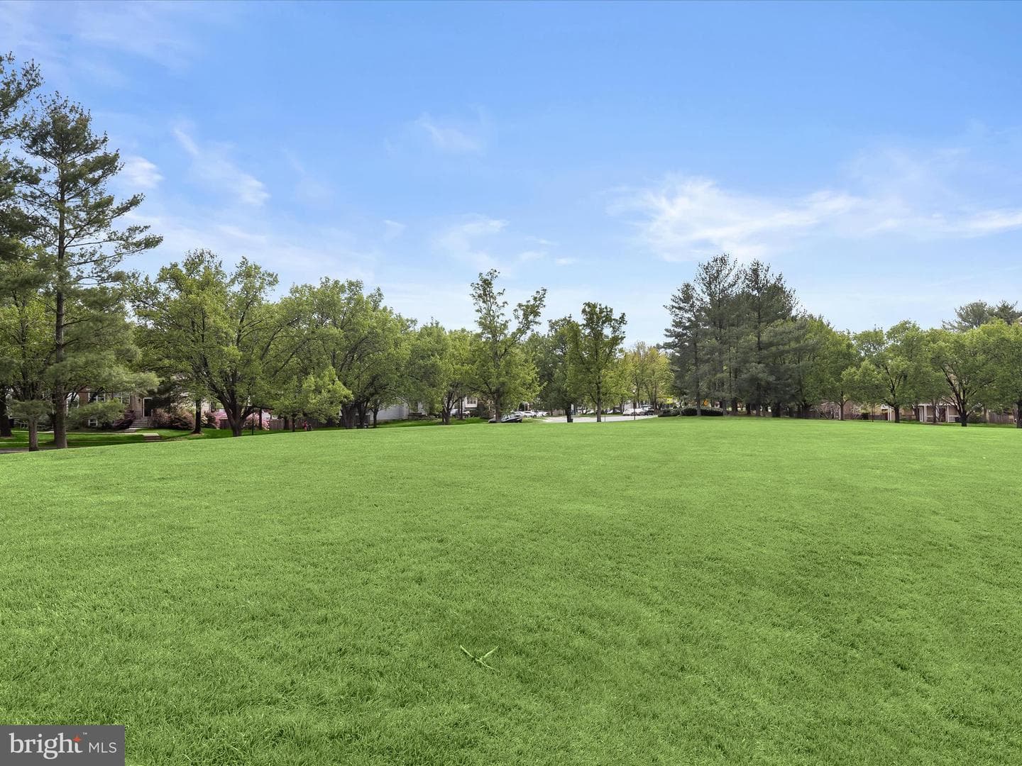 3524 Softwood Terrace photo 43