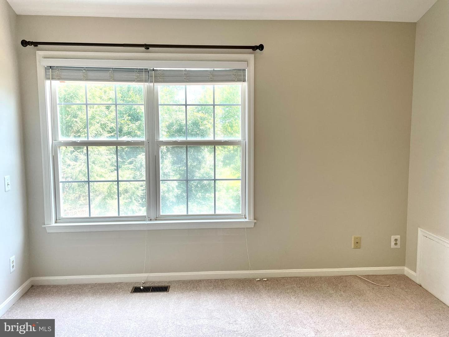 18614 Carriage Walk Circle photo 23