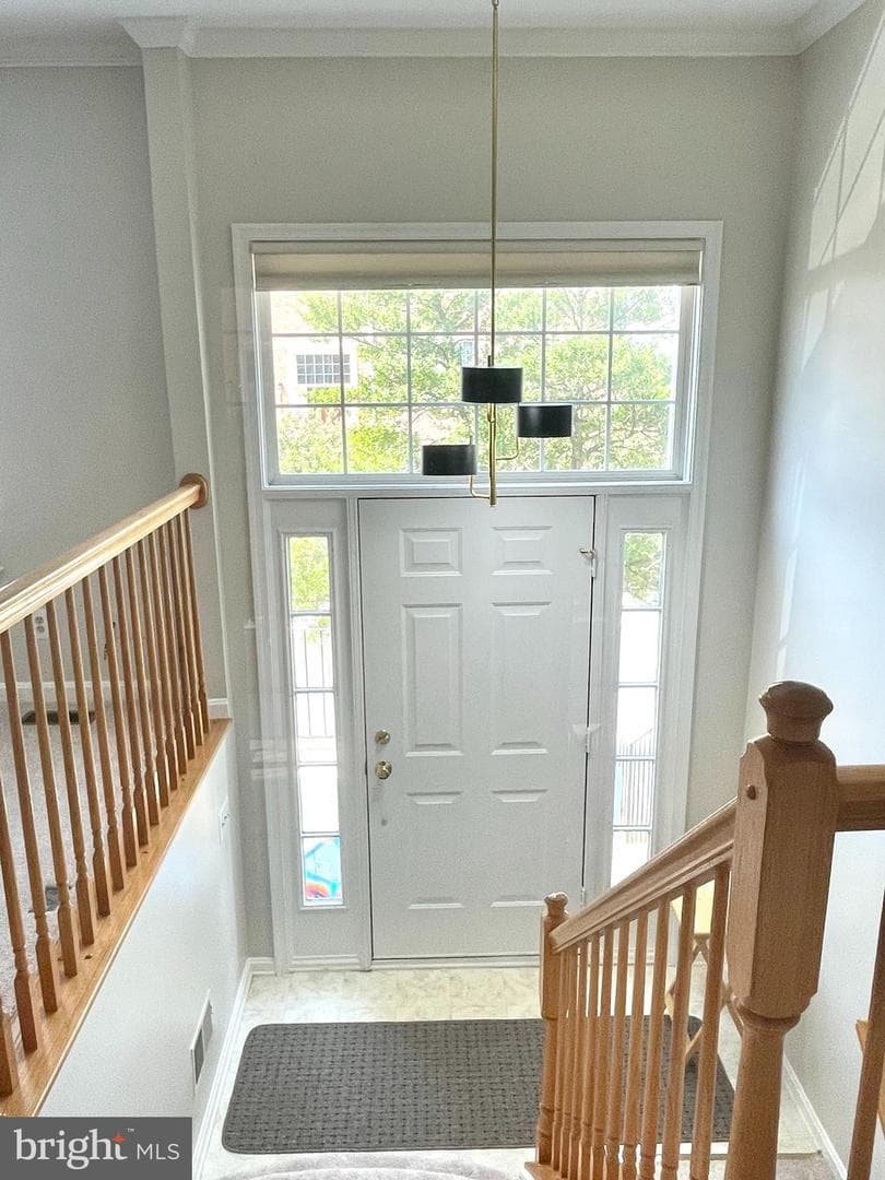 18614 Carriage Walk Circle photo 5