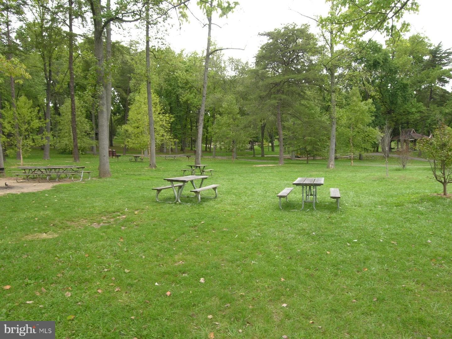 1111 University Boulevard W #1119-A photo 66