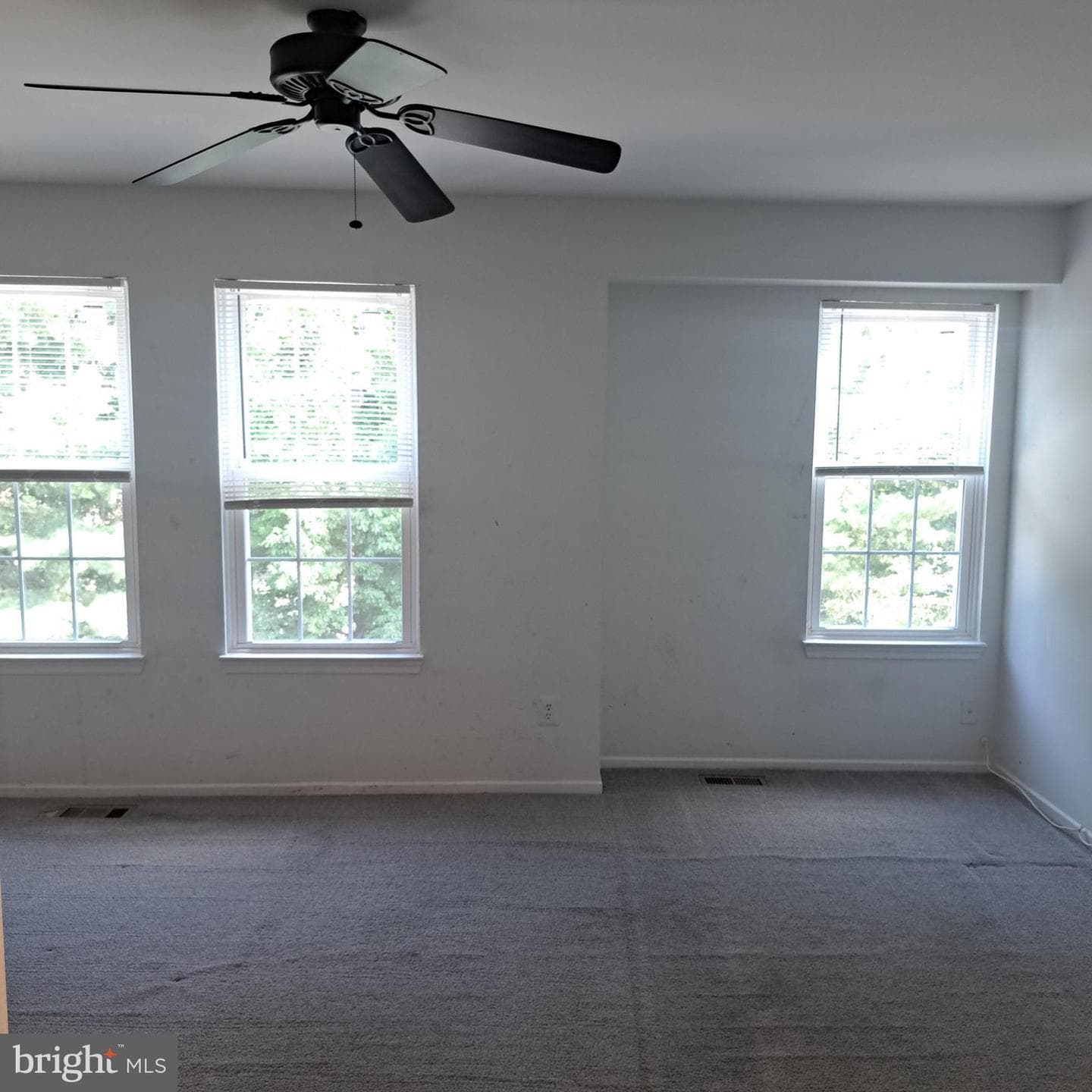 14636 Monmouth Drive #11 photo 14