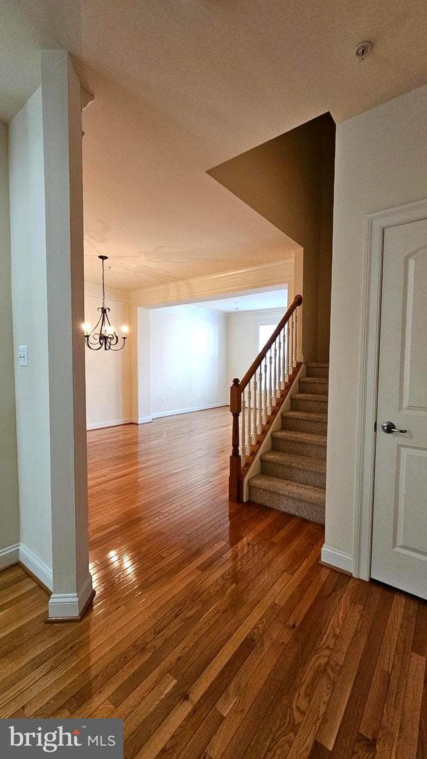 537 Girard Street photo 13
