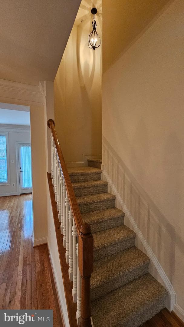 537 Girard Street photo 14