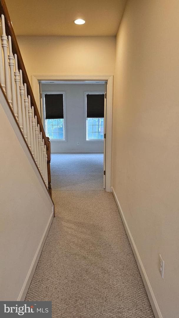 537 Girard Street photo 22