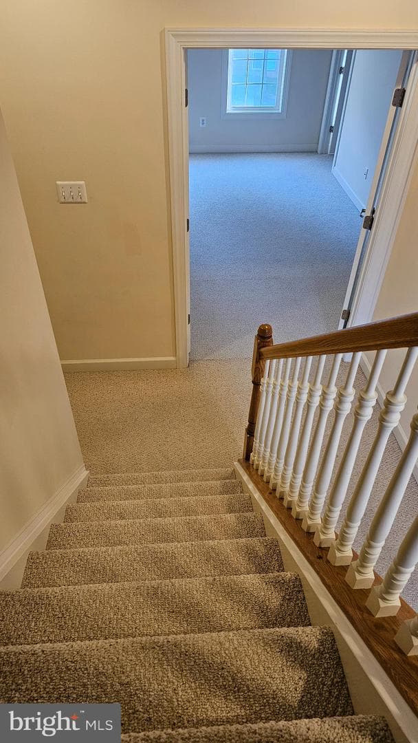 537 Girard Street photo 25