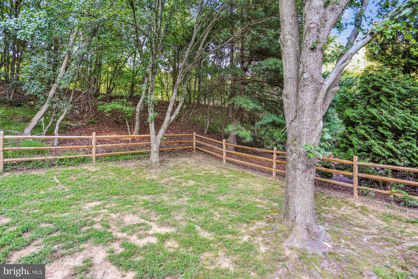 12345 Morning Light Terrace photo 40