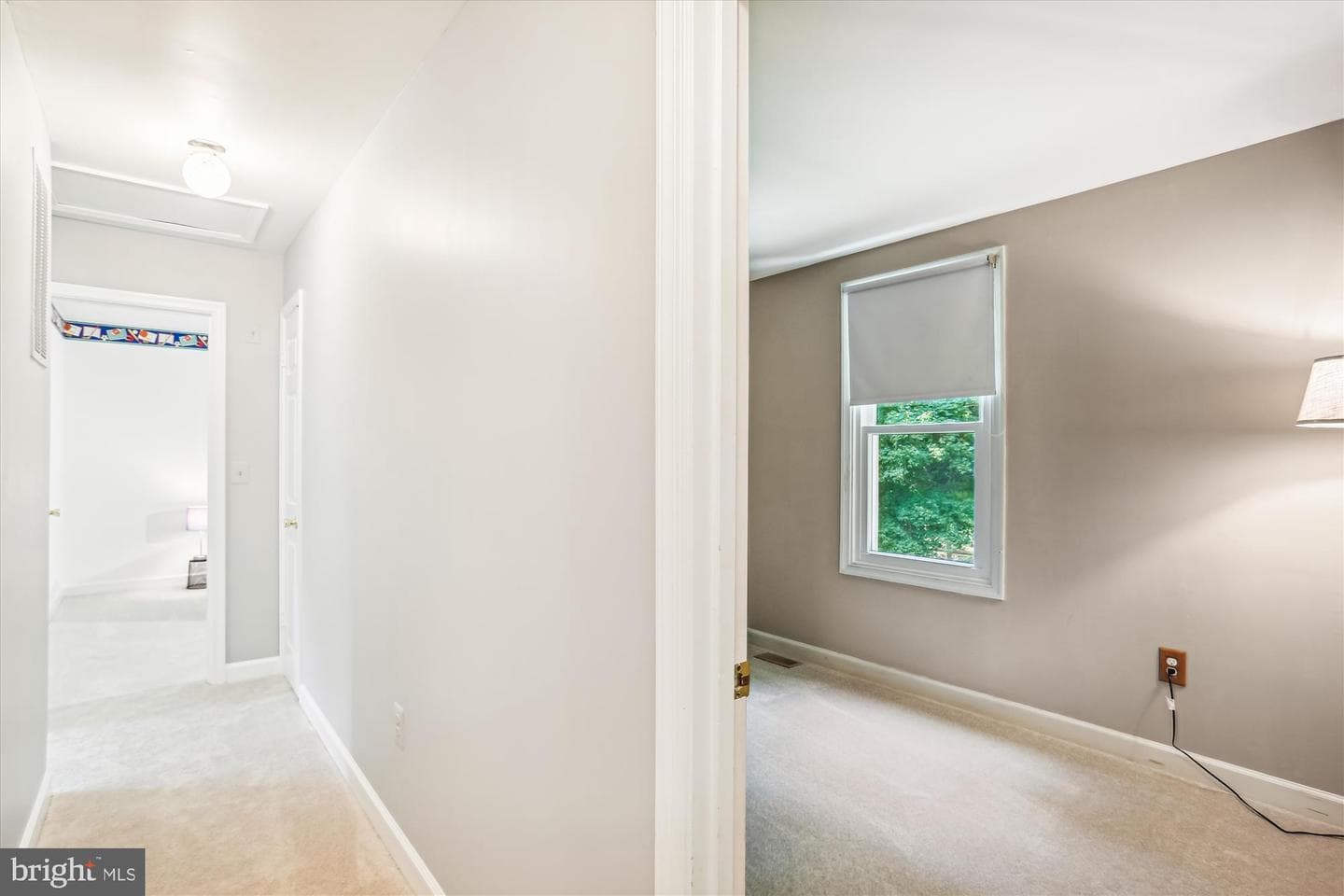 12345 Morning Light Terrace photo 45