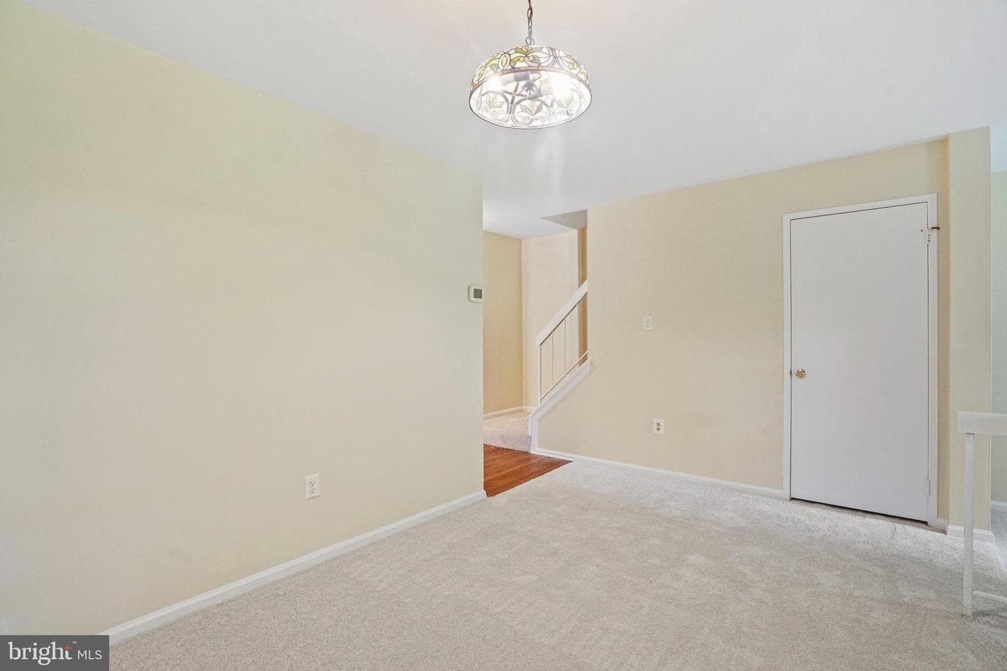 12881 Climbing Ivy Drive photo 13