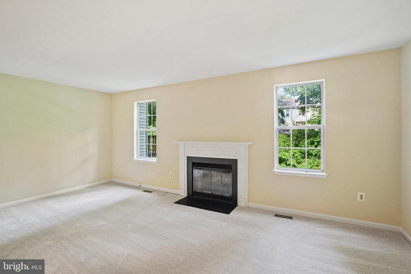 12881 Climbing Ivy Drive photo 15