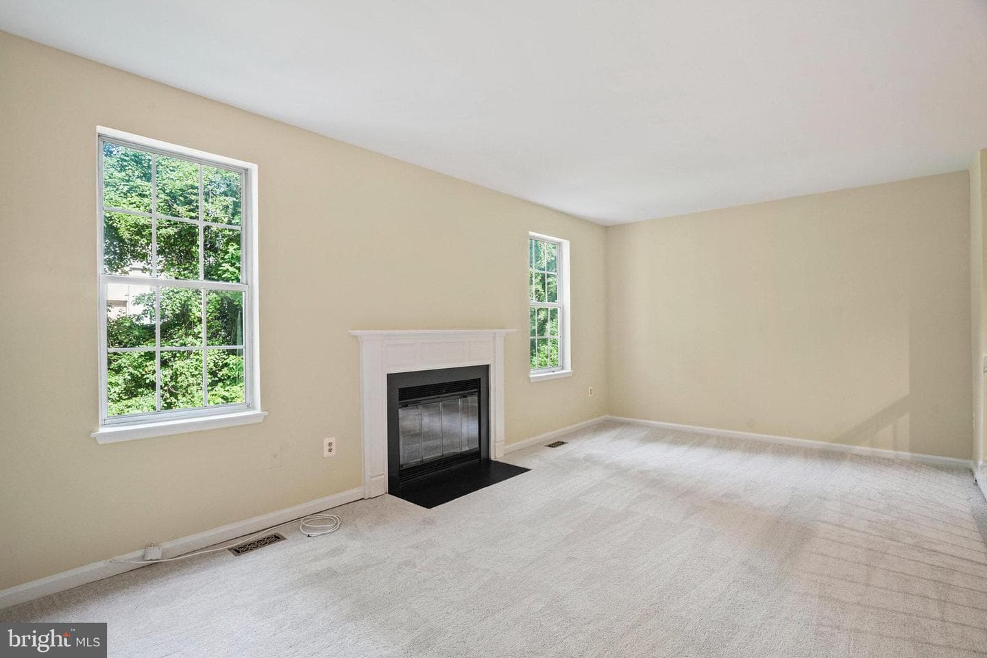 12881 Climbing Ivy Drive photo 16