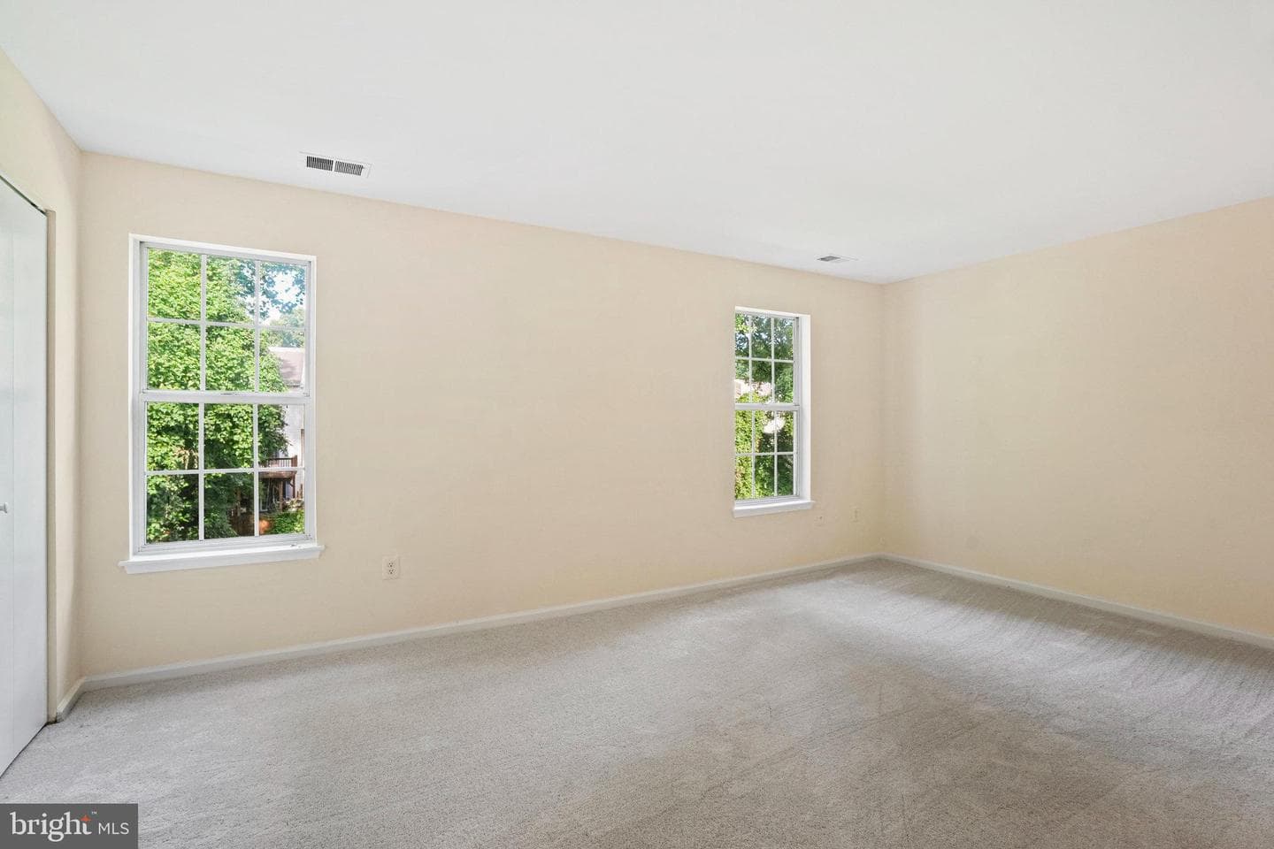 12881 Climbing Ivy Drive photo 17