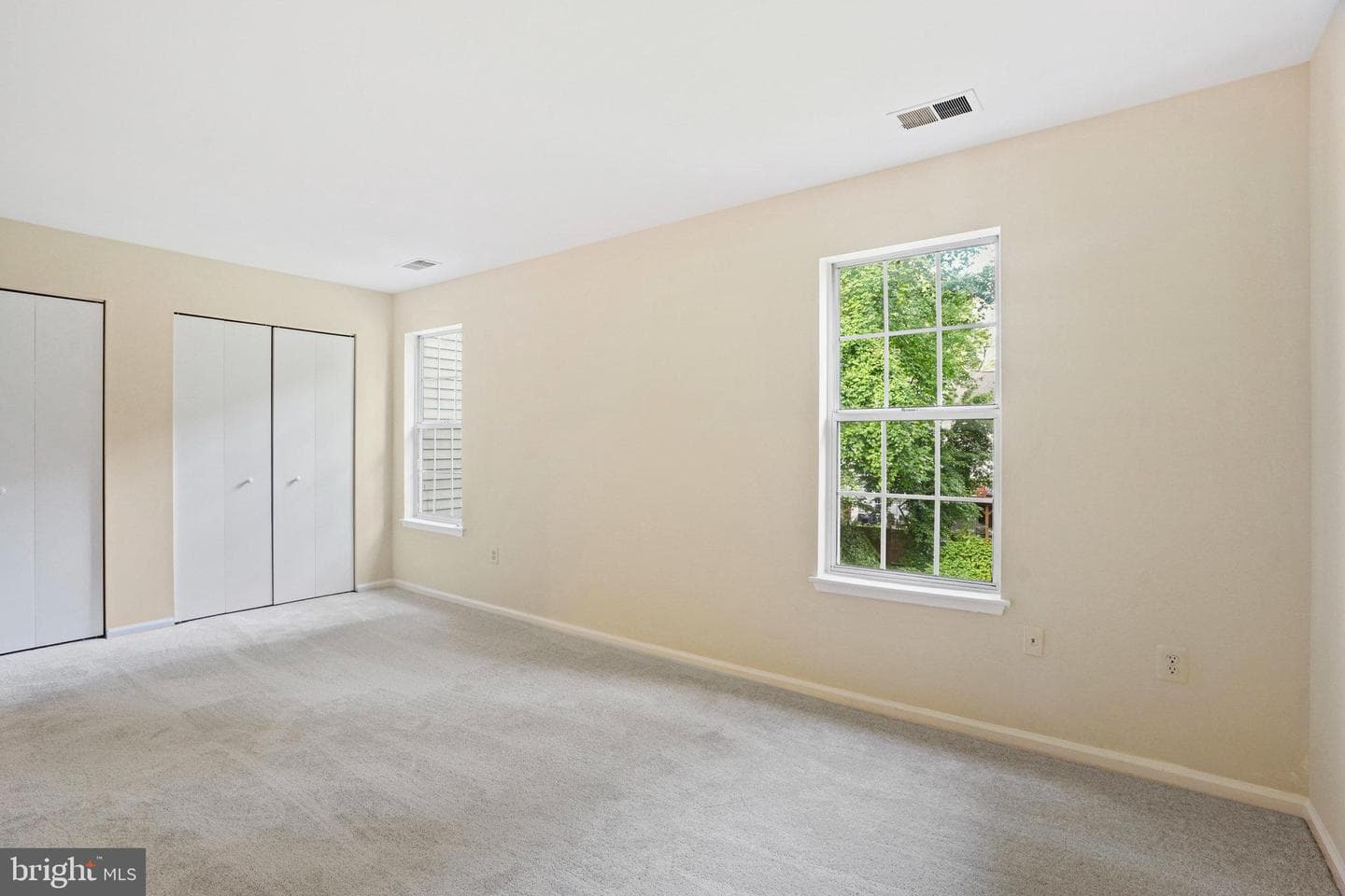 12881 Climbing Ivy Drive photo 18