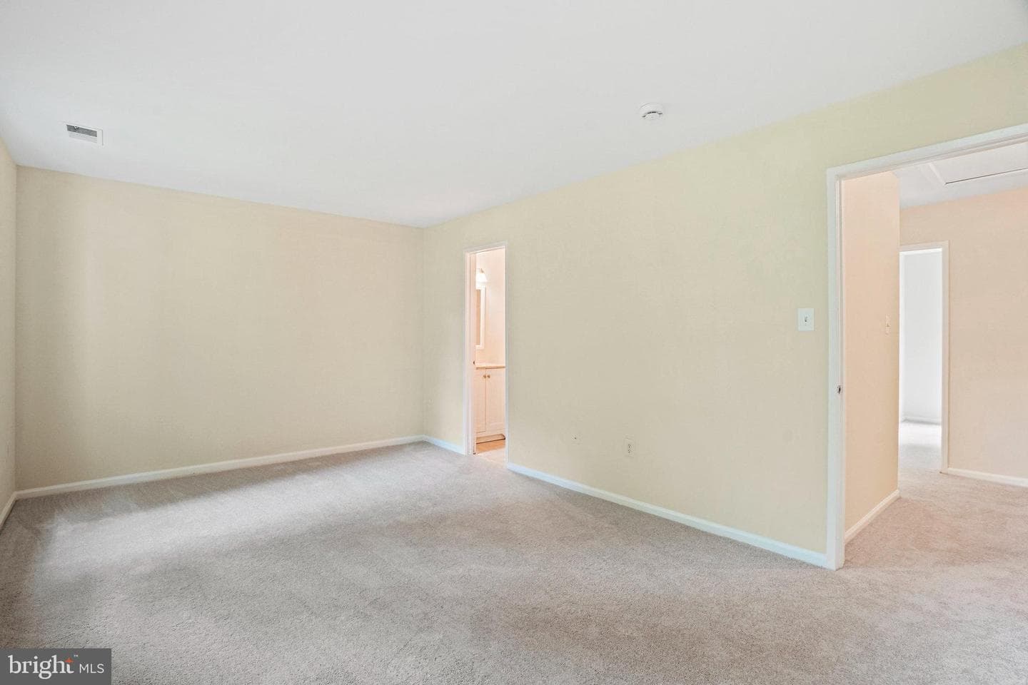12881 Climbing Ivy Drive photo 19