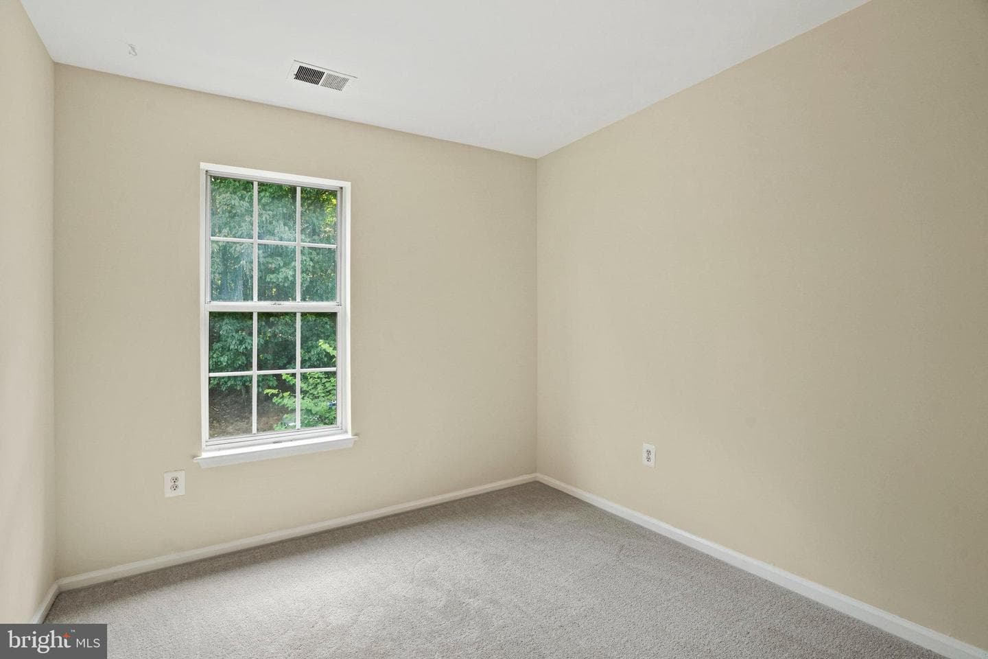 12881 Climbing Ivy Drive photo 22