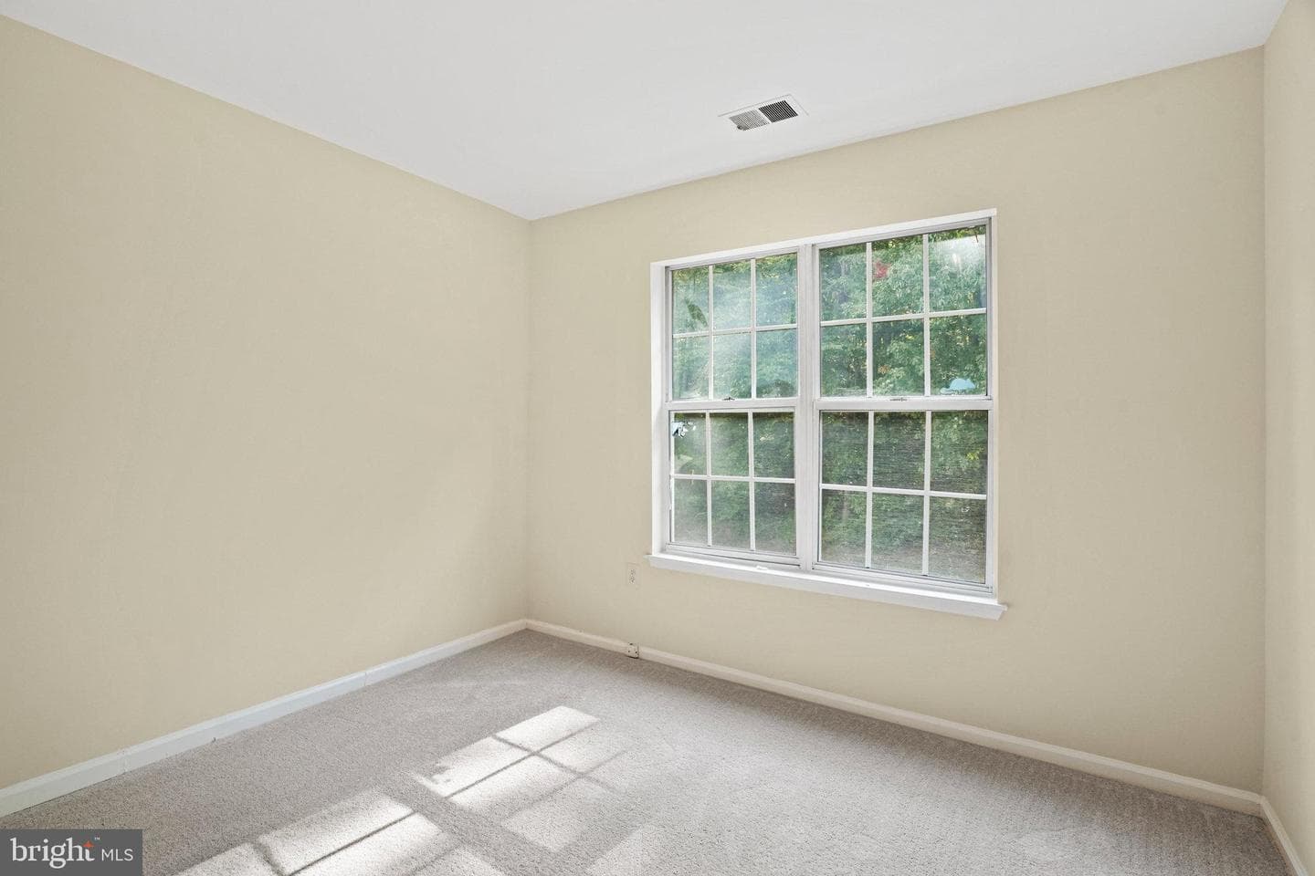 12881 Climbing Ivy Drive photo 24