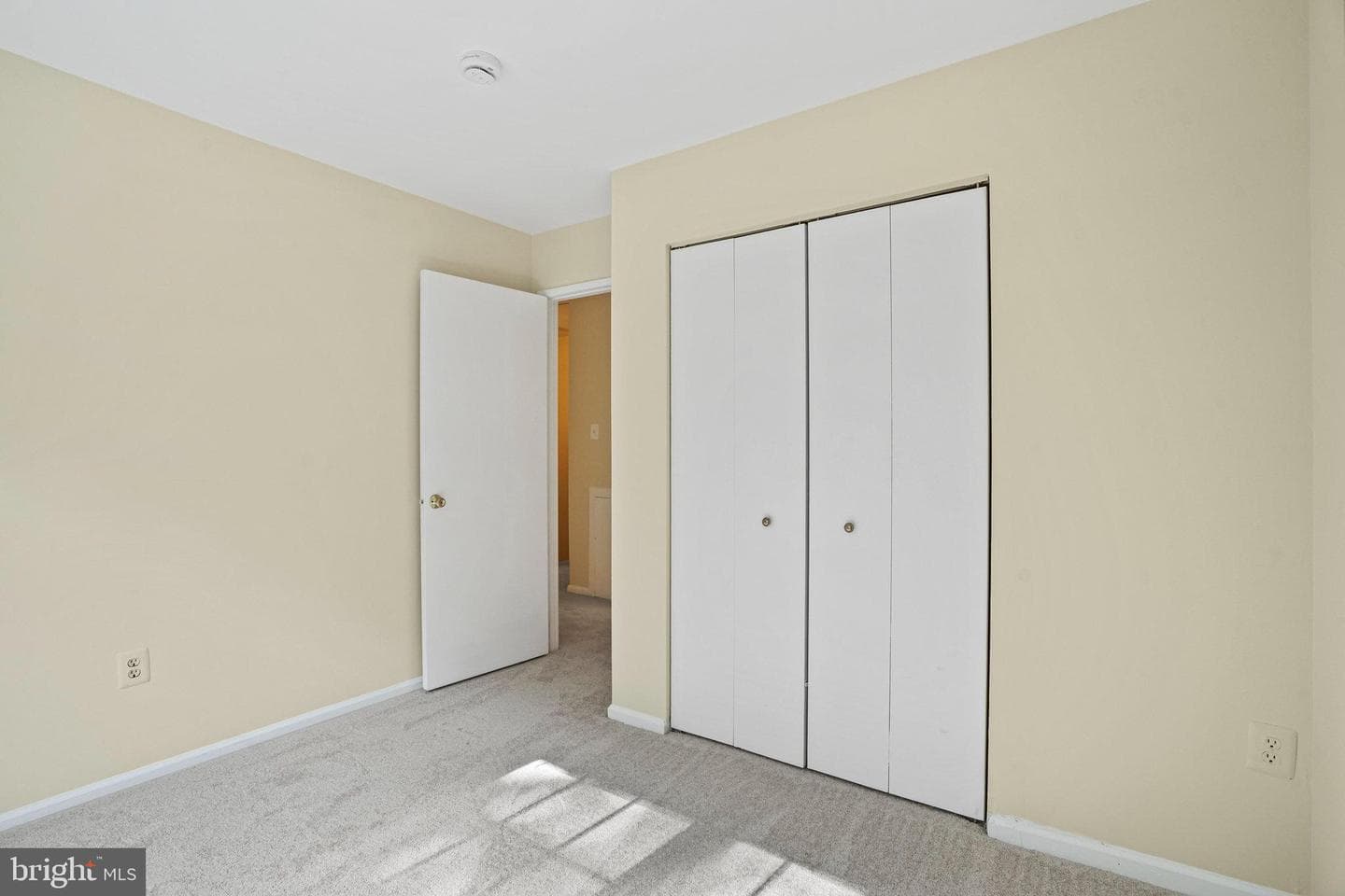 12881 Climbing Ivy Drive photo 25