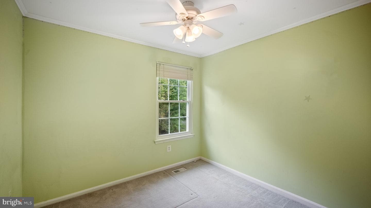 10616 Budsman Terrace photo 18