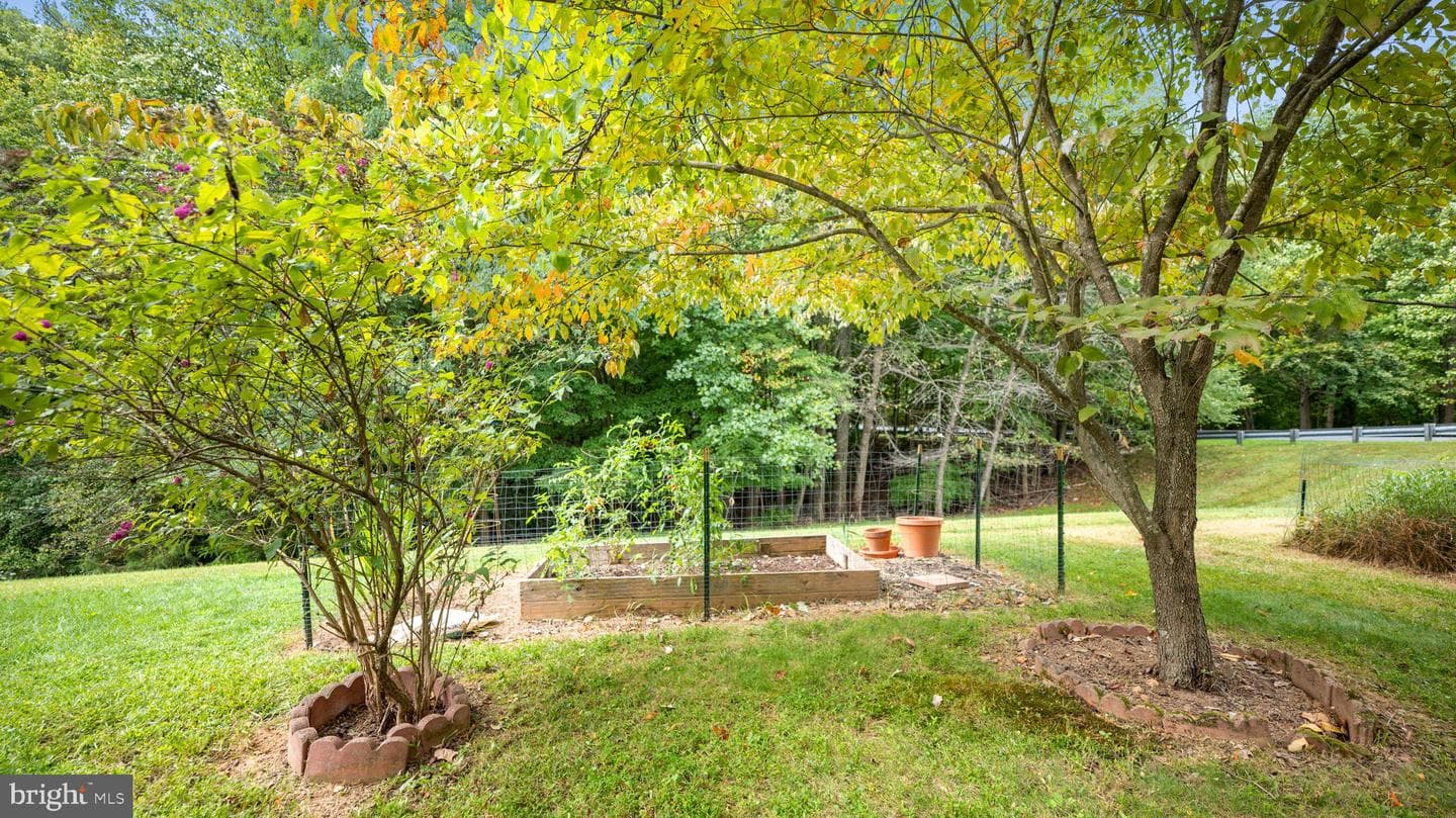10616 Budsman Terrace photo 28