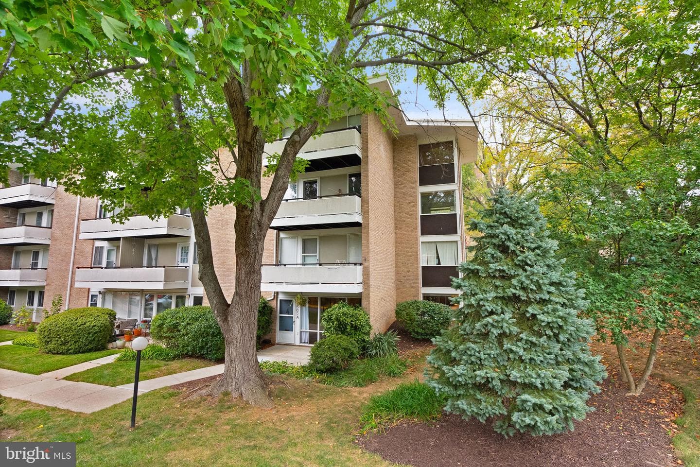 7502 Spring Lake Drive #a-7502 photo 3