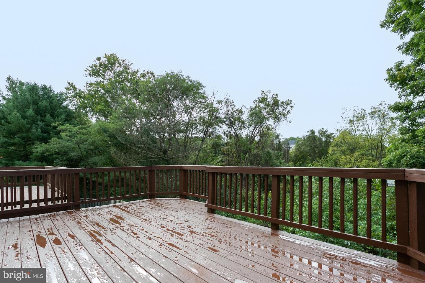 509 Whitcliff Court photo 26