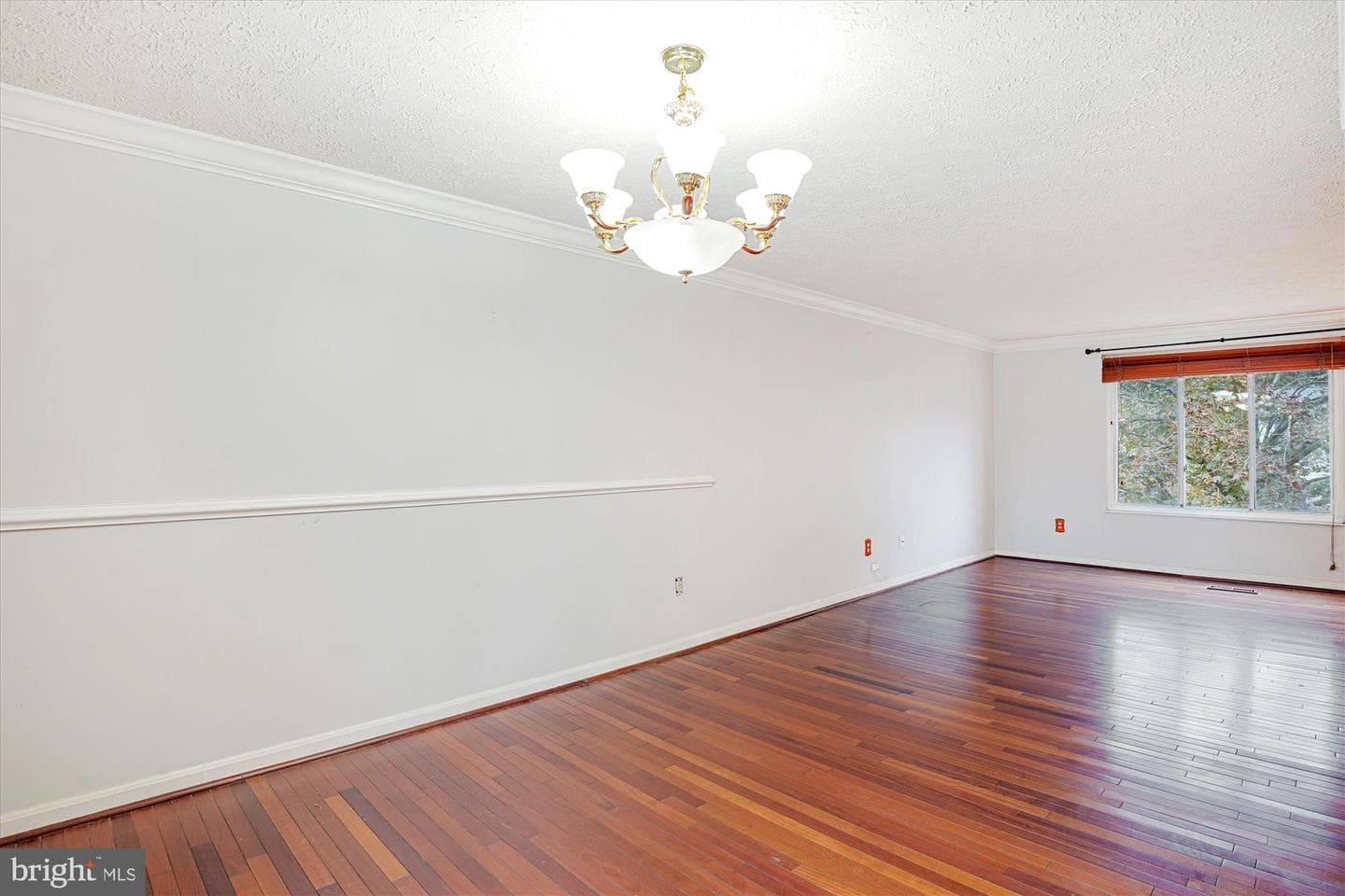 19013 Perrone Drive photo 10