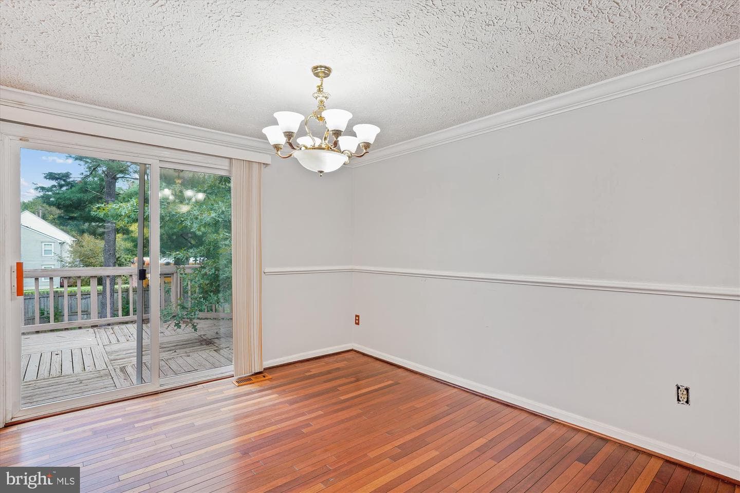19013 Perrone Drive photo 11