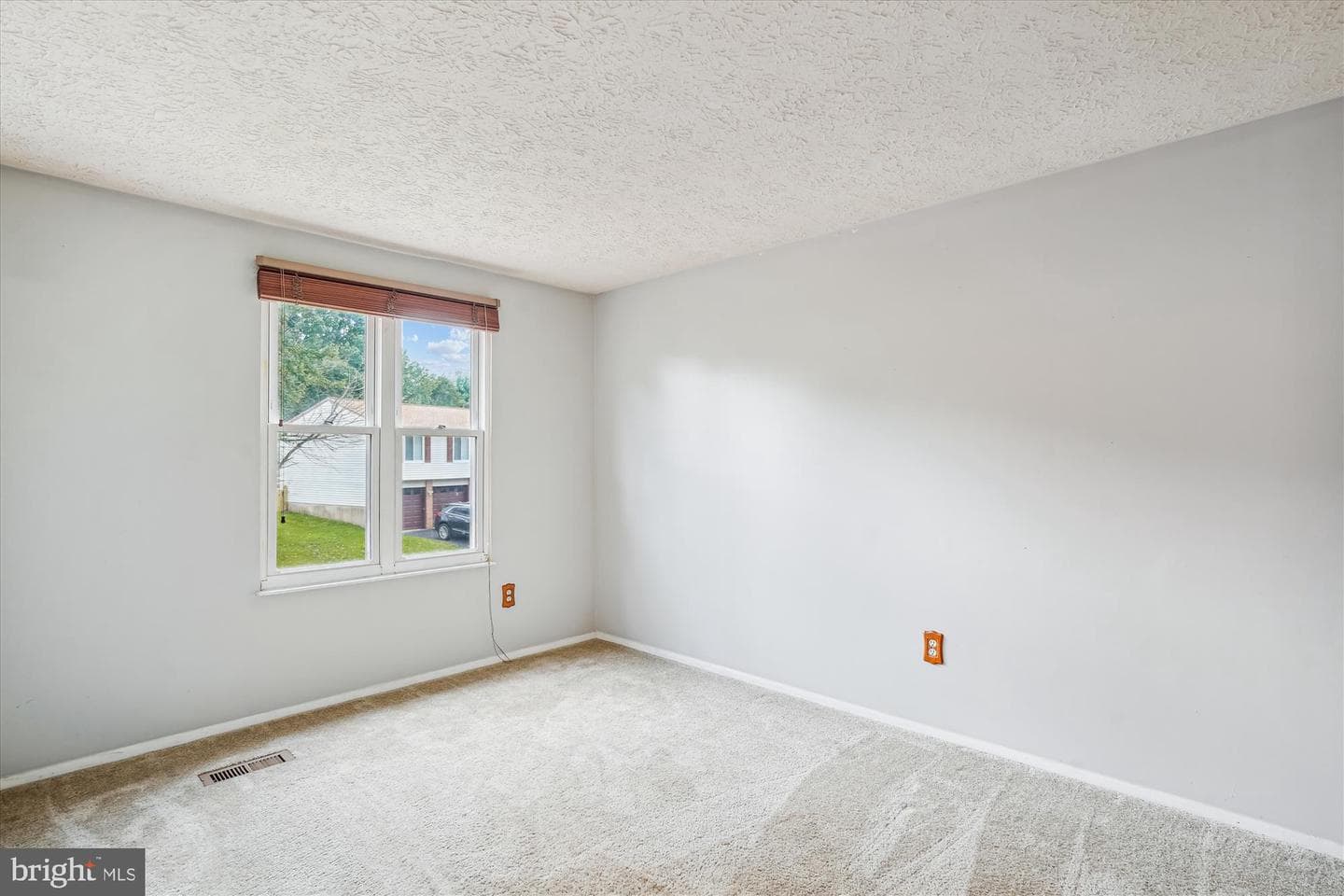19013 Perrone Drive photo 14