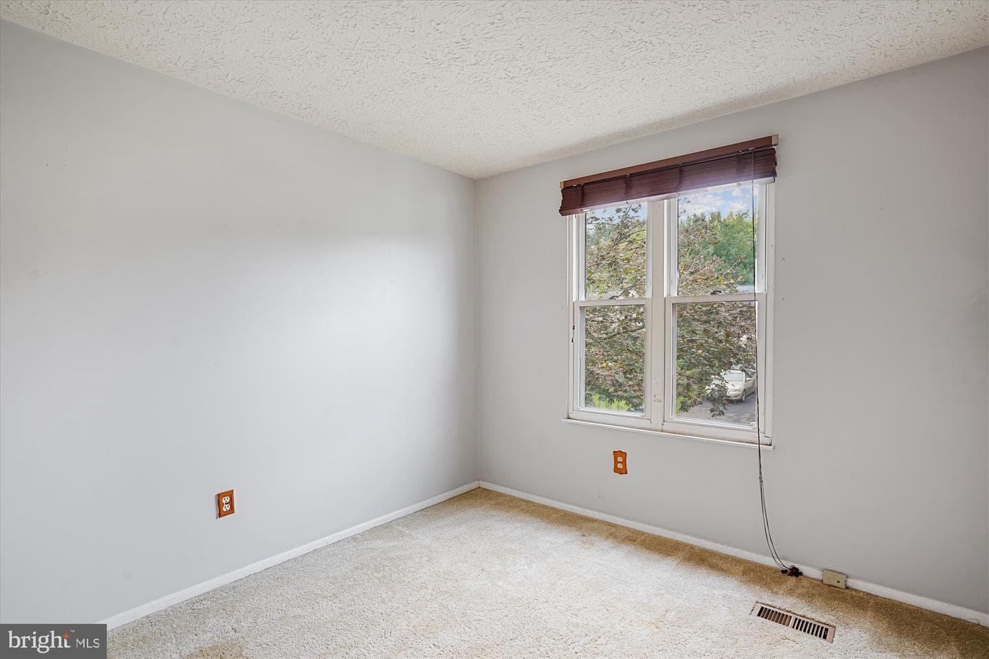 19013 Perrone Drive photo 15