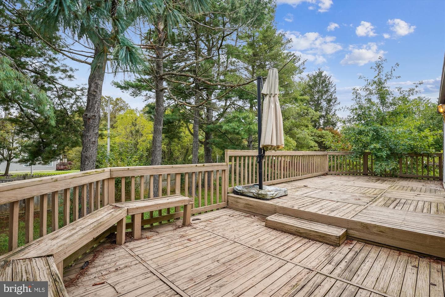 19013 Perrone Drive photo 19