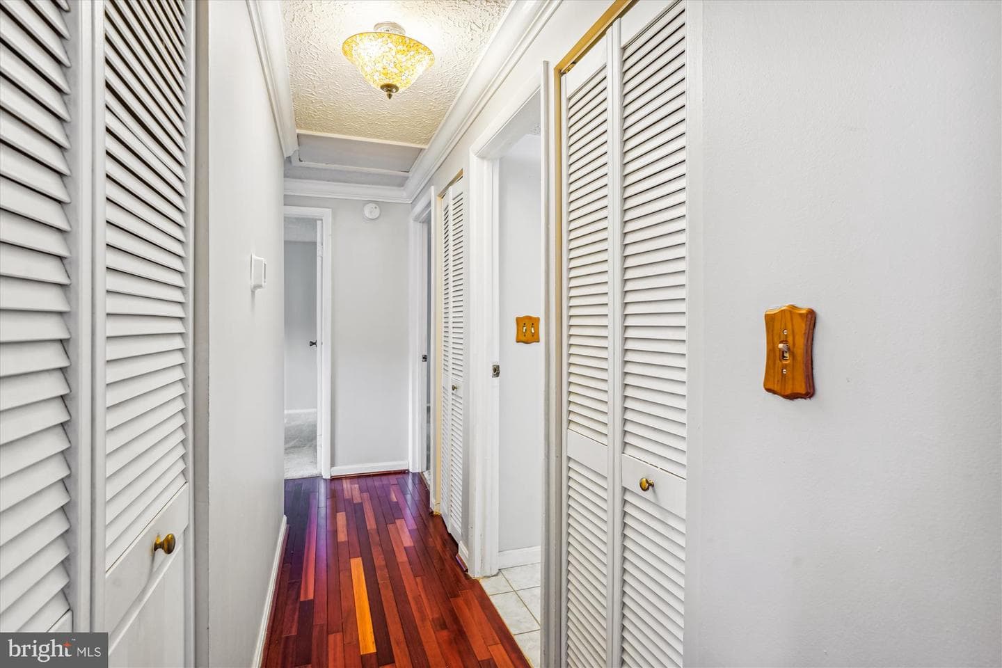 19013 Perrone Drive photo 20