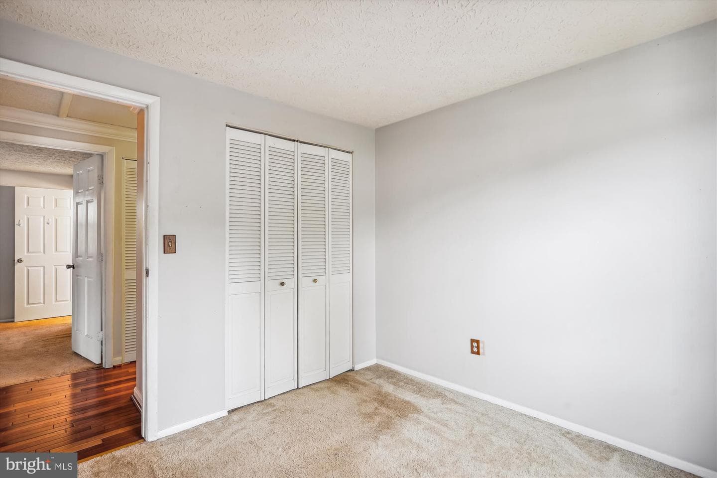 19013 Perrone Drive photo 25