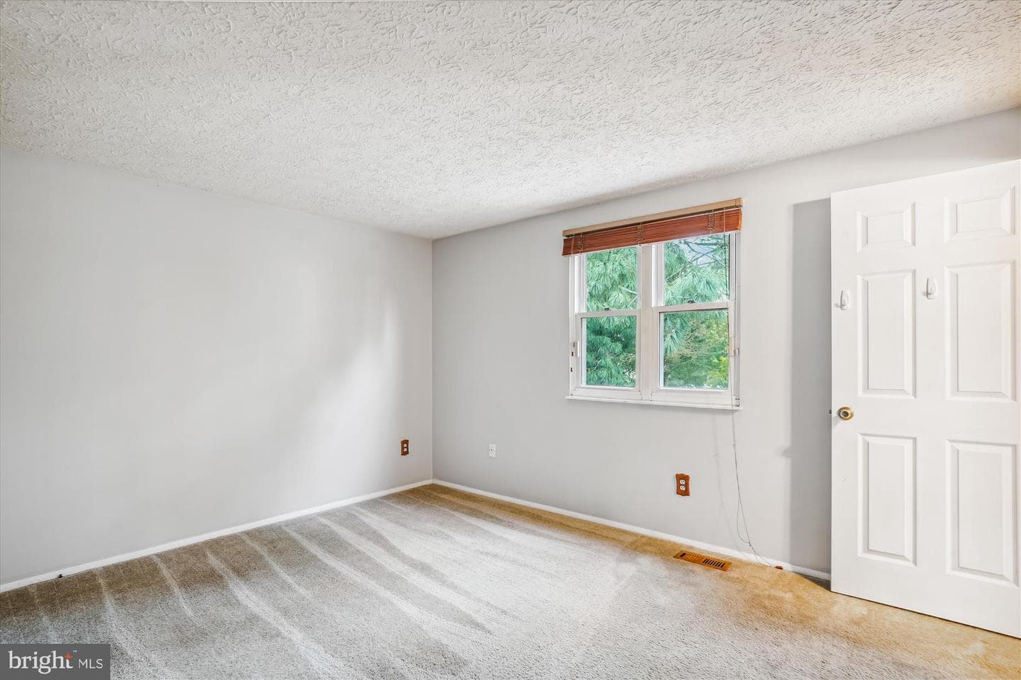 19013 Perrone Drive photo 29