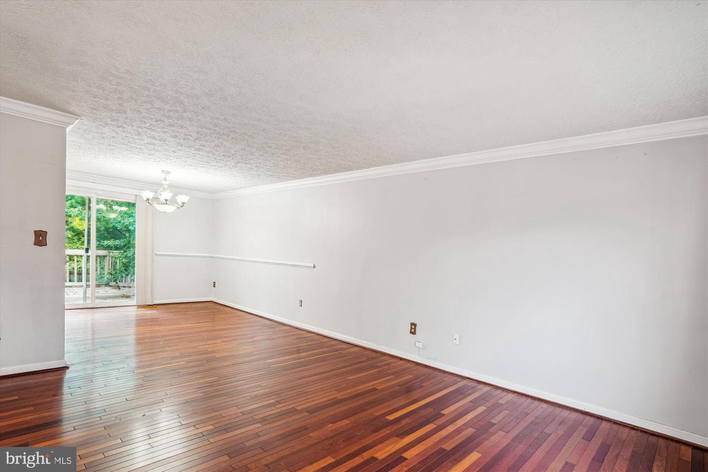 19013 Perrone Drive photo 4