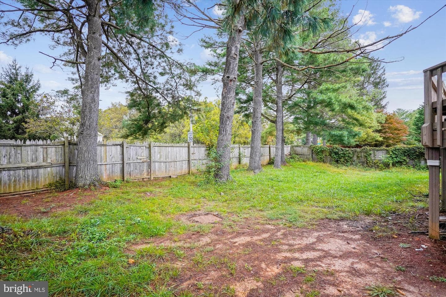 19013 Perrone Drive photo 45