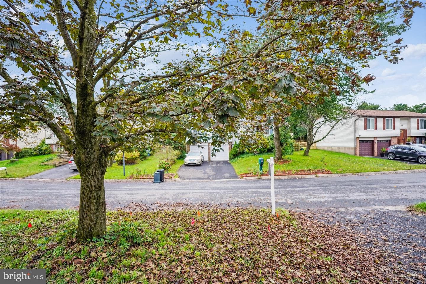 19013 Perrone Drive photo 46