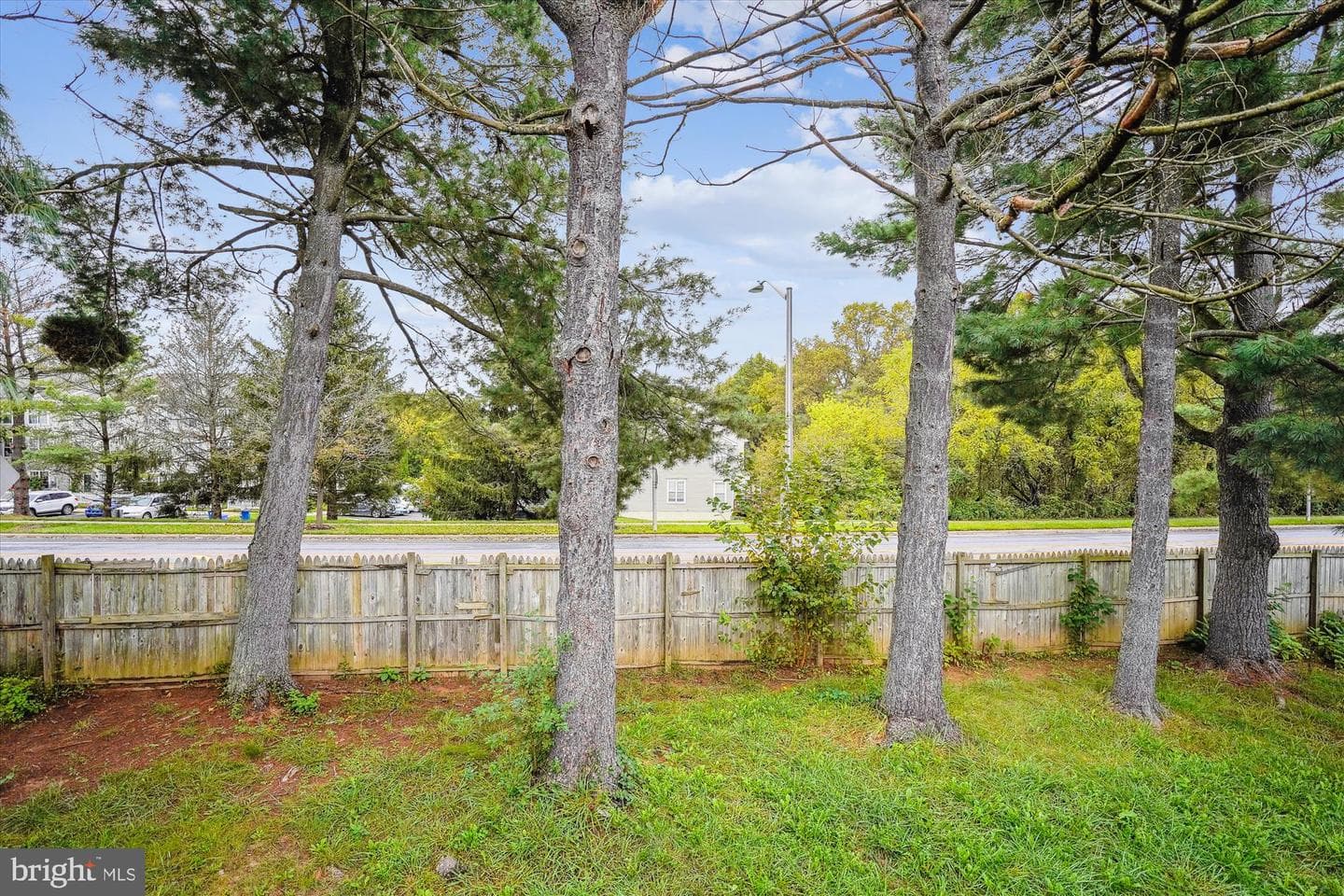 19013 Perrone Drive photo 47
