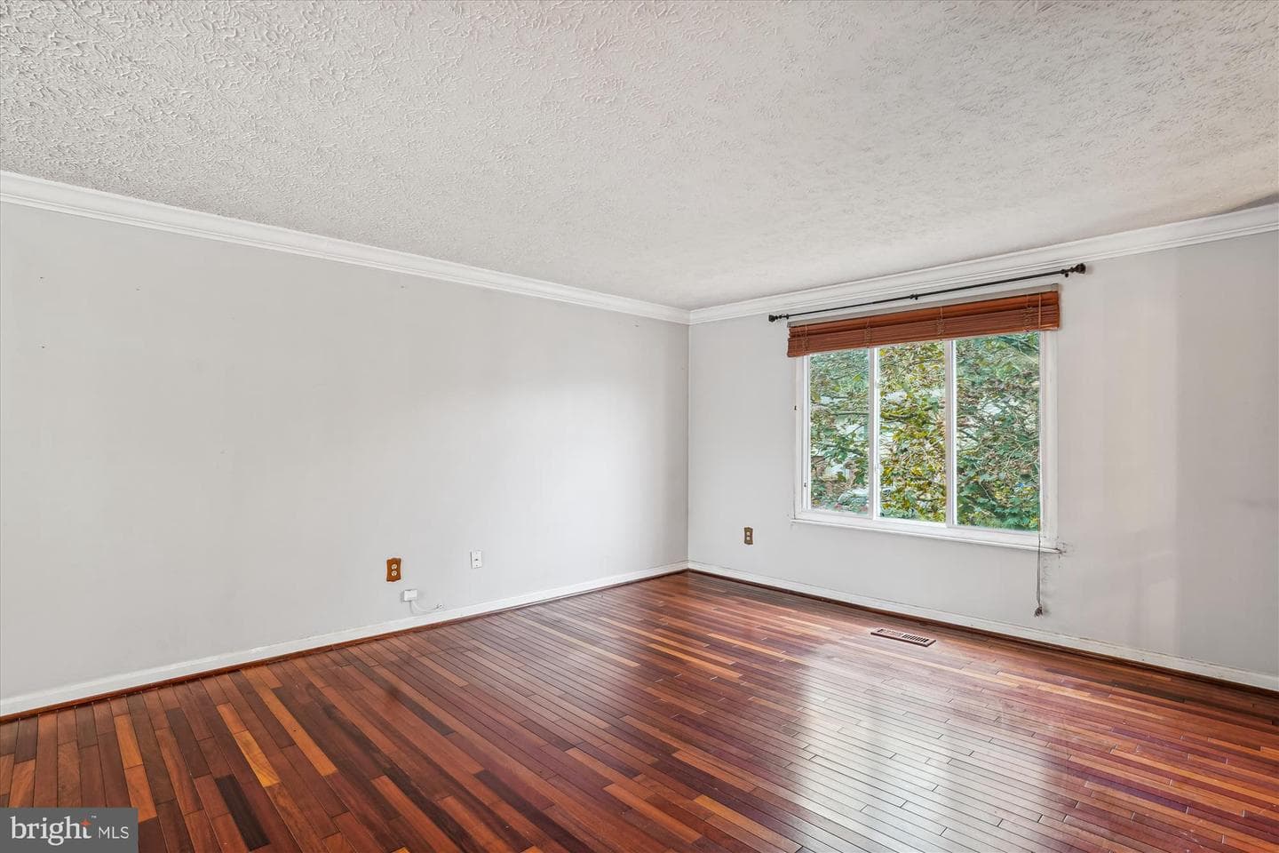 19013 Perrone Drive photo 5