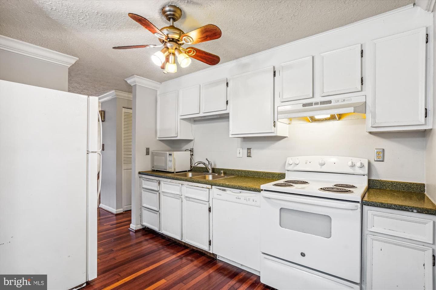 19013 Perrone Drive photo 6