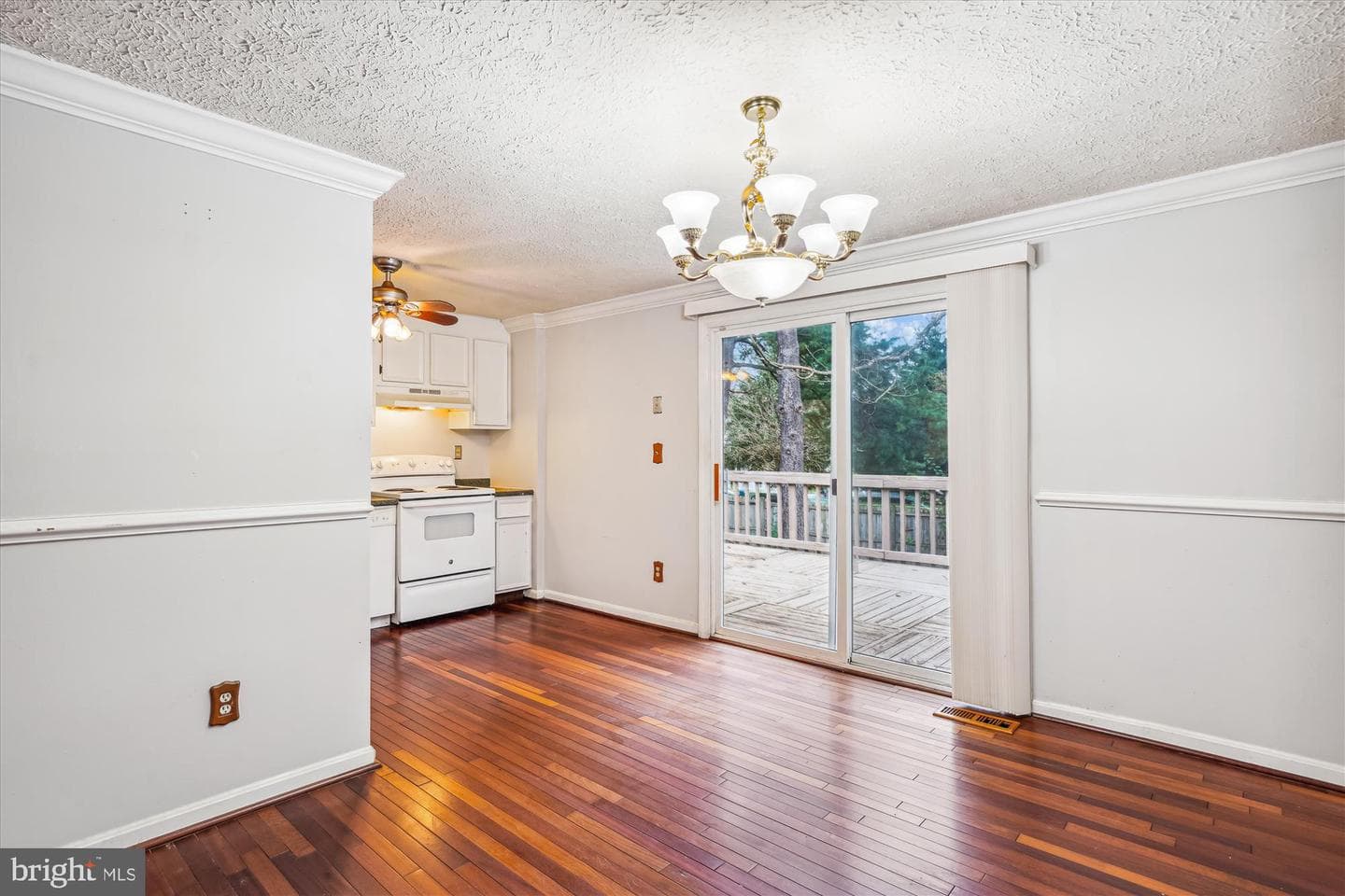 19013 Perrone Drive photo 7